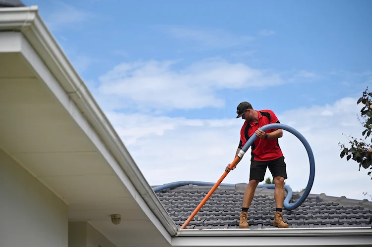 Gutter Cleaning