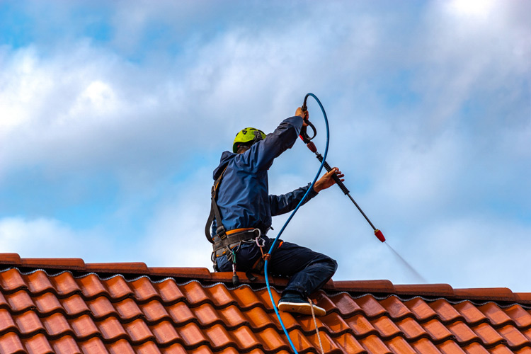 Roof Pressure Washing in Detroit